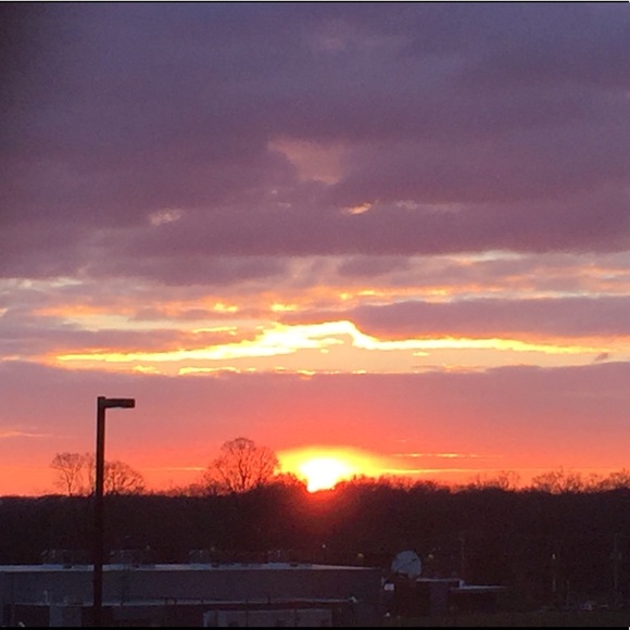 Meet your Posher, Sasha - Picture 3 of 8